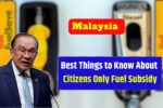 5 Best Things to Know About Malaysia Citizens Only Fuel Subsidy