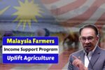 Malaysia Farmers Income Support Program Government Initiative to Uplift Agriculture