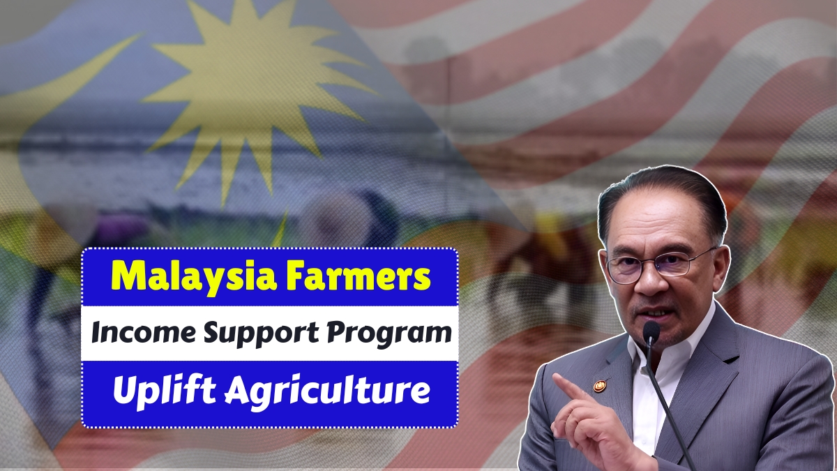 Malaysia Farmers Income Support Program Government Initiative to Uplift Agriculture